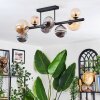 Chehalis Plafondlamp, Kogellampje Amber, Rookkleurig, 8-lichts