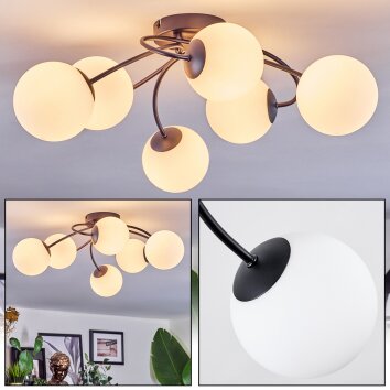 Chehalis Plafondlamp, Kogellampje Wit, 6-lichts