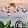 Chehalis Plafondlamp, Kogellampje Rookkleurig, 6-lichts