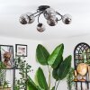Chehalis Plafondlamp, Kogellampje Rookkleurig, 6-lichts