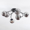 Chehalis Plafondlamp, Kogellampje Rookkleurig, 6-lichts