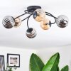 Chehalis Plafondlamp, Kogellampje Amber, Rookkleurig, 6-lichts