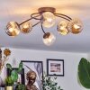 Chehalis Plafondlamp, Kogellampje 56 cm Amber, Duidelijk, Rookkleurig, 6-lichts