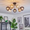 Koyoto Plafondlamp, Kogellampje Amber, Duidelijk, Rookkleurig, 7-lichts