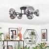 Chehalis Plafondlamp, Kogellampje 20 cm Duidelijk, Rookkleurig, 6-lichts