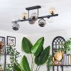 Chehalis Plafondlamp, Kogellampje Amber, Duidelijk, Rookkleurig, 8-lichts