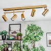 Javel Plafondlamp, Plafondspot Goud, 5-lichts