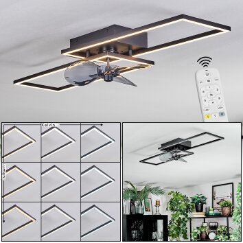 Hyacinthe Plafondlamp, Plafondventilator met verlichting LED Chroom, Zwart, 1-licht, Afstandsbediening