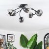 Chehalis Plafondlamp, Kogellampje 56 cm Duidelijk, Rookkleurig, 6-lichts