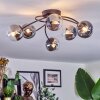Chehalis Plafondlamp, Kogellampje 56 cm Duidelijk, Rookkleurig, 6-lichts