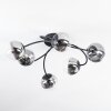 Chehalis Plafondlamp, Kogellampje 56 cm Duidelijk, Rookkleurig, 6-lichts