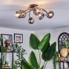 Chehalis Plafondlamp, Kogellampje 58 cm Duidelijk, Rookkleurig, 6-lichts
