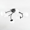 Chehalis Plafondlamp, Kogellampje Wit, 6-lichts