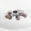 Chehalis Plafondlamp, Kogellampje 20 cm Rookkleurig, 6-lichts