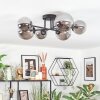 Chehalis Plafondlamp, Kogellampje 20 cm Rookkleurig, 6-lichts