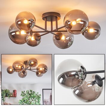 Chehalis Plafondlamp, Kogellampje 20 cm Rookkleurig, 6-lichts