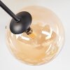 Chehalis Plafondlamp, Kogellampje 20 cm Amber, Rookkleurig, 6-lichts