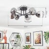 Chehalis Plafondlamp, Kogellampje 18 cm Duidelijk, Rookkleurig, 6-lichts