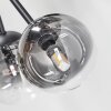 Chehalis Plafondlamp, Kogellampje 18 cm Duidelijk, Rookkleurig, 6-lichts