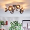 Chehalis Plafondlamp, Kogellampje 18 cm Duidelijk, Rookkleurig, 6-lichts