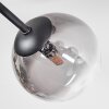 Chehalis Plafondlamp, Kogellampje 18 cm Duidelijk, Rookkleurig, 6-lichts