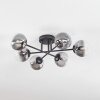 Chehalis Plafondlamp, Kogellampje 18 cm Duidelijk, Rookkleurig, 6-lichts