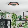 Meron Plafondlamp LED houtlook, Zwart, 1-licht