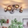 Chehalis Plafondlamp, Kogellampje Duidelijk, Rookkleurig, 6-lichts