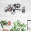 Chehalis Plafondlamp, Kogellampje Duidelijk, Rookkleurig, 6-lichts