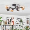 Chehalis Plafondlamp, Kogellampje Amber, Rookkleurig, 6-lichts