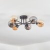 Chehalis Plafondlamp, Kogellampje Amber, Rookkleurig, 6-lichts