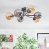 Chehalis Plafondlamp, Kogellampje Amber, Rookkleurig, 6-lichts