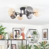 Chehalis Plafondlamp, Kogellampje Amber, Duidelijk, Rookkleurig, 6-lichts