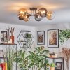 Chehalis Plafondlamp, Kogellampje Amber, Duidelijk, Rookkleurig, 6-lichts