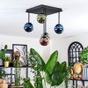 Chehalis Plafondlamp, Kogellampje Blauw, Groen, Koperkleurig, 5-lichts