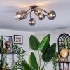 Chehalis Plafondlamp, Kogellampje 58 cm Duidelijk, Rookkleurig, 6-lichts