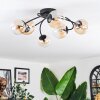 Chehalis Plafondlamp, Kogellampje Amber, Duidelijk, 6-lichts