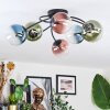 Chehalis Plafondlamp, Kogellampje 56 cm Blauw, Groen, Duidelijk, Koperkleurig, 6-lichts