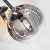 Chehalis Plafondlamp, Kogellampje 60 cm Amber, Duidelijk, Rookkleurig, 6-lichts
