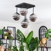 Chehalis Plafondlamp, Kogellampje Rookkleurig, 5-lichts