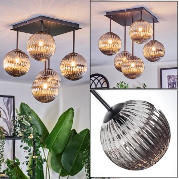 Chehalis Plafondlamp, Kogellampje Rookkleurig, 5-lichts