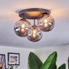 Chehalis Plafondlamp, Kogellampje 34 cm Rookkleurig, 3-lichts