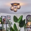 Chehalis Plafondlamp, Kogellampje 34 cm Rookkleurig, 3-lichts