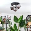 Chehalis Plafondlamp, Kogellampje 34 cm Rookkleurig, 3-lichts