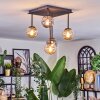 Chehalis Plafondlamp, Kogellampje Amber, Rookkleurig, 5-lichts