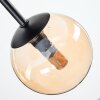Chehalis Plafondlamp, Kogellampje Amber, Rookkleurig, 5-lichts