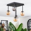 Chehalis Plafondlamp, Kogellampje Amber, Rookkleurig, 5-lichts
