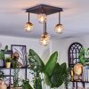 Chehalis Plafondlamp, Kogellampje Amber, Duidelijk, 5-lichts