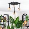 Chehalis Plafondlamp, Kogellampje Amber, Duidelijk, 5-lichts