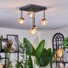 Chehalis Plafondlamp, Kogellampje Amber, Duidelijk, Rookkleurig, 5-lichts